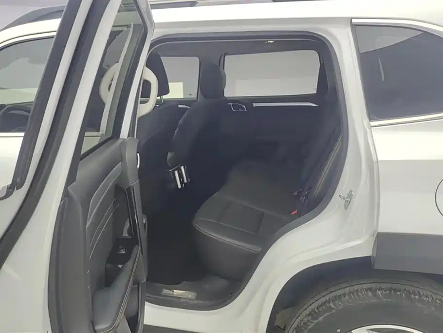 Haval Big Dog 2022 1.5T DCT FWD Border Collie Edition фото 11