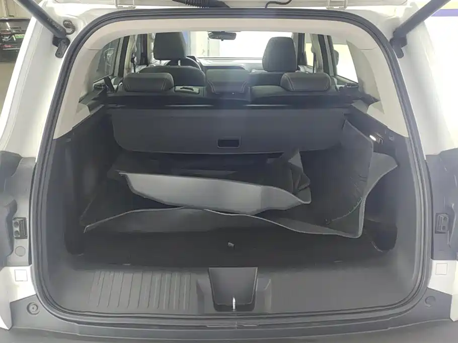Haval Big Dog 2022 1.5T DCT FWD Border Collie Edition фото 4