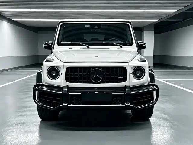 Mercedes-Benz G G 500