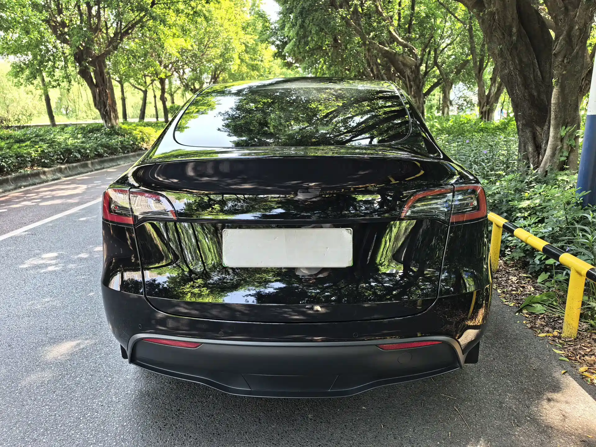 Photo 4 - Tesla Model Y
