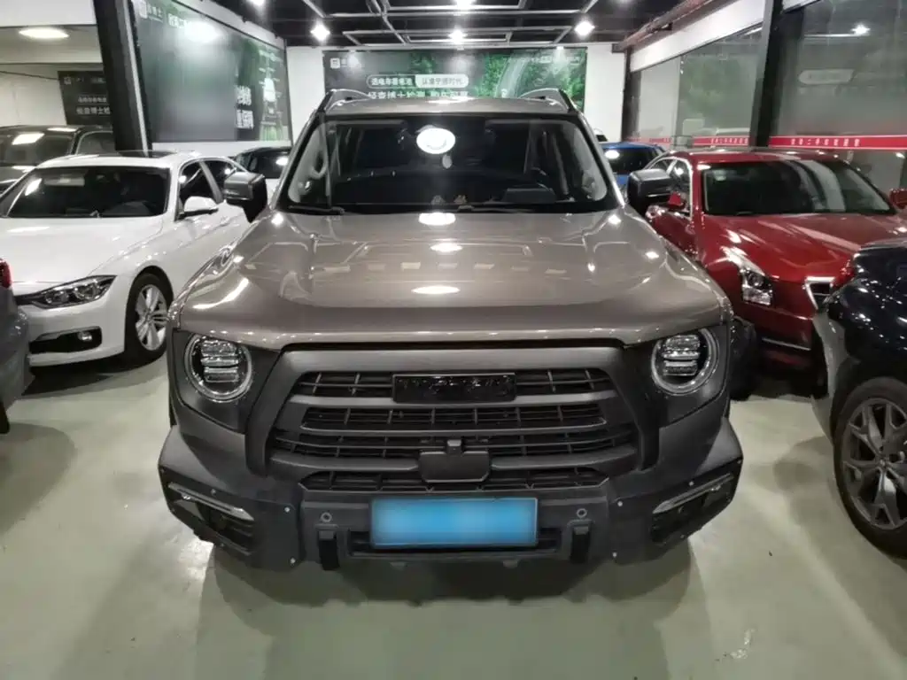 Фото 3 - Haval Dargo