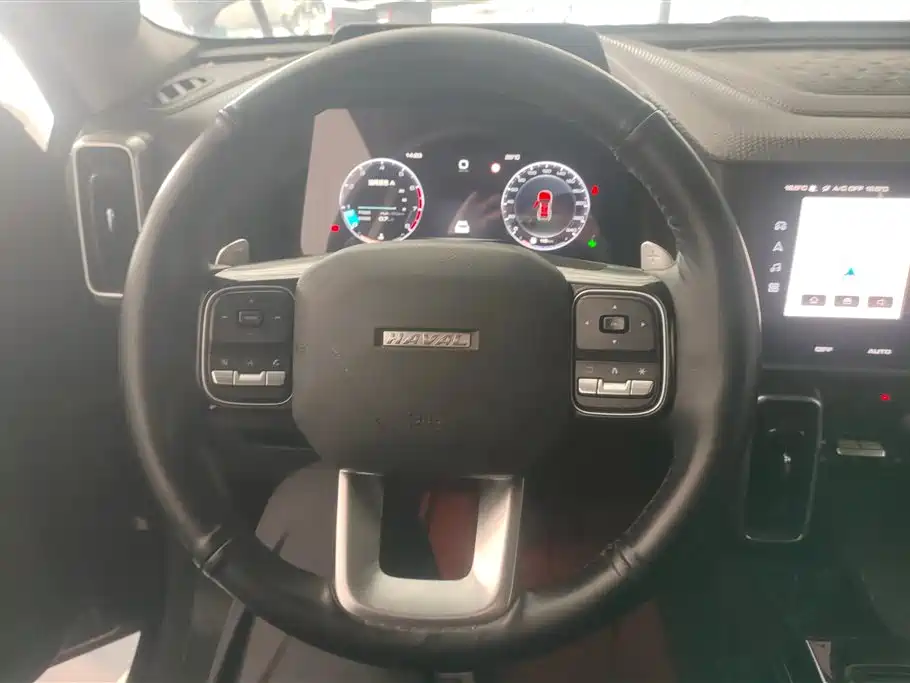 Haval Big Dog 2021 1.5T DCT 2WD Border Collie Edition фото 15