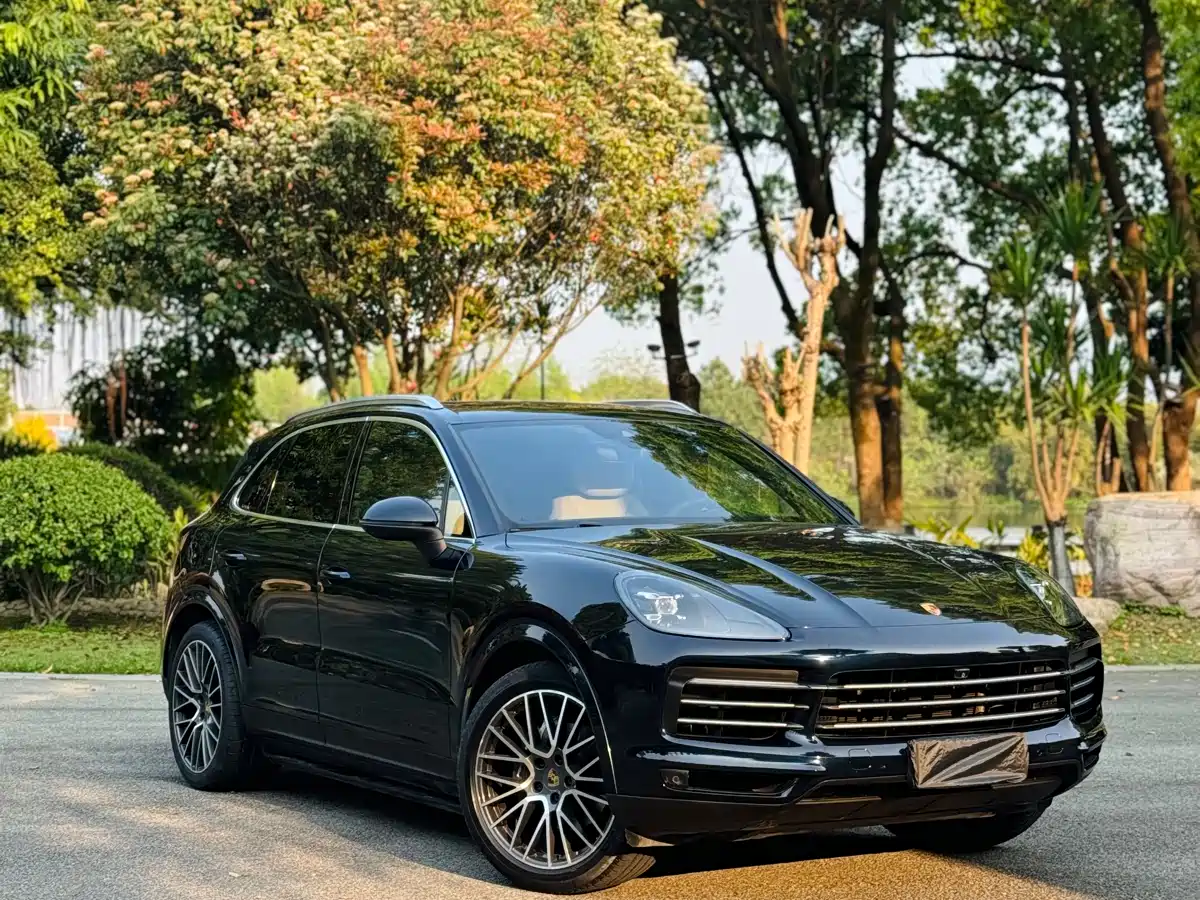 Porsche Cayenne 2018 Cayenne 3.0T фото 2