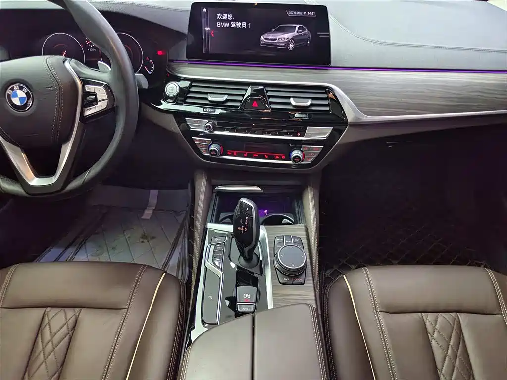 BMW 5 Series 2019 530Li Leading Luxury Package фото 13