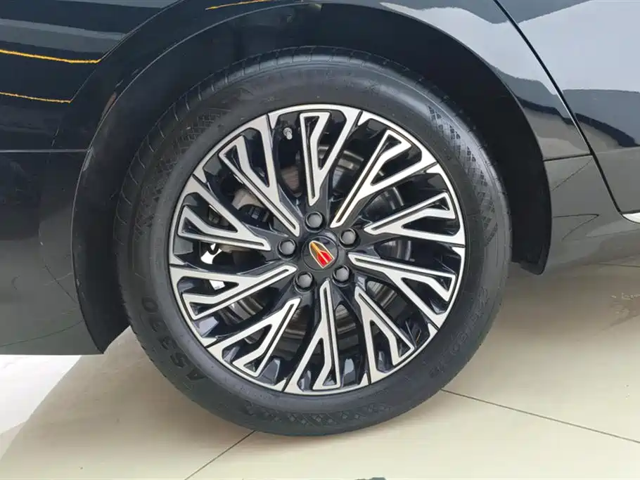 Hongqi H5 2024 2.0T Automatic Smart Connect Flag Smooth Edition фото 6