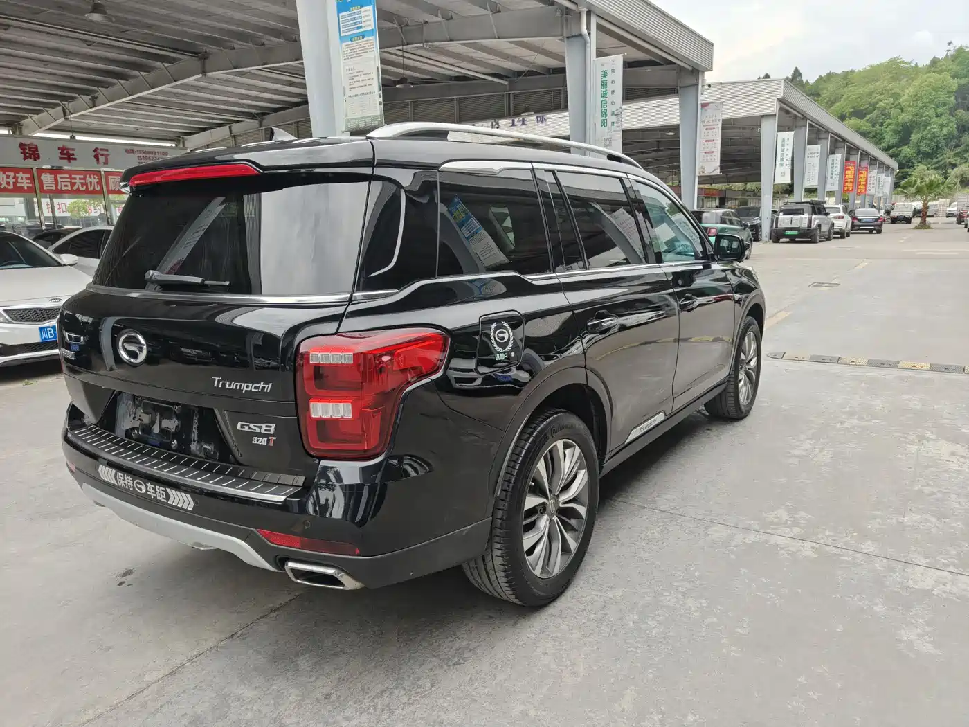 GAC Trumpchi Trumpchi GS8 2017 320T 2WD Luxury Smart Connect (7-seater) фото 6