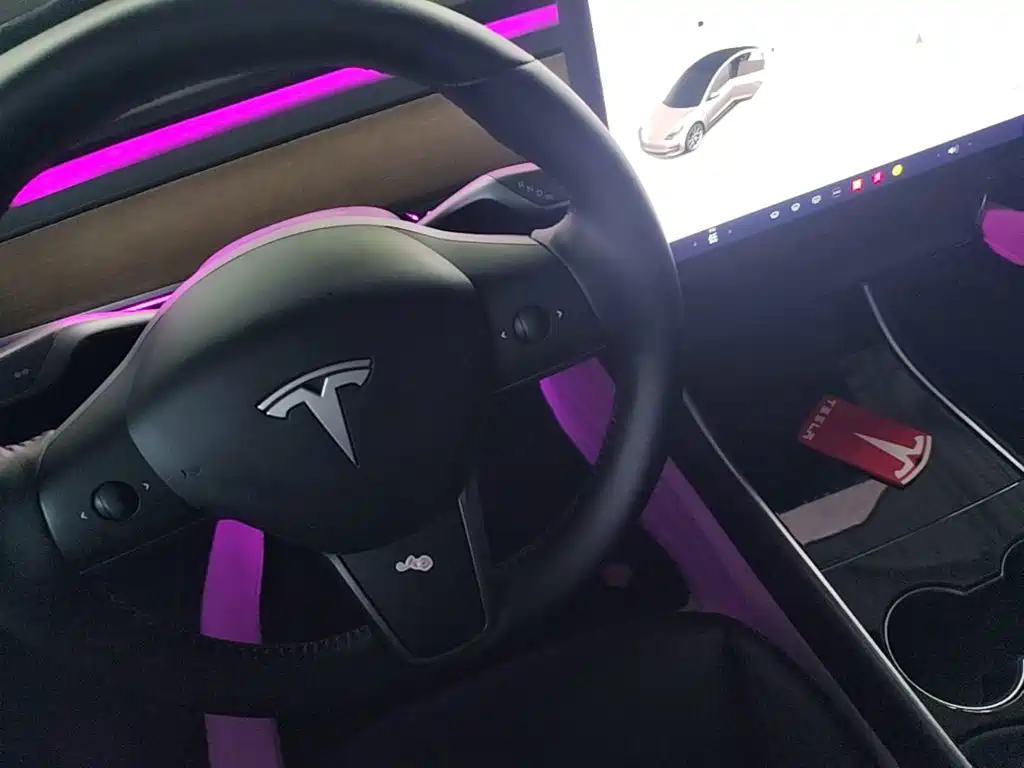 Tesla Model 3 2020 2020 Standard Range Rear-Wheel Drive Upgrade