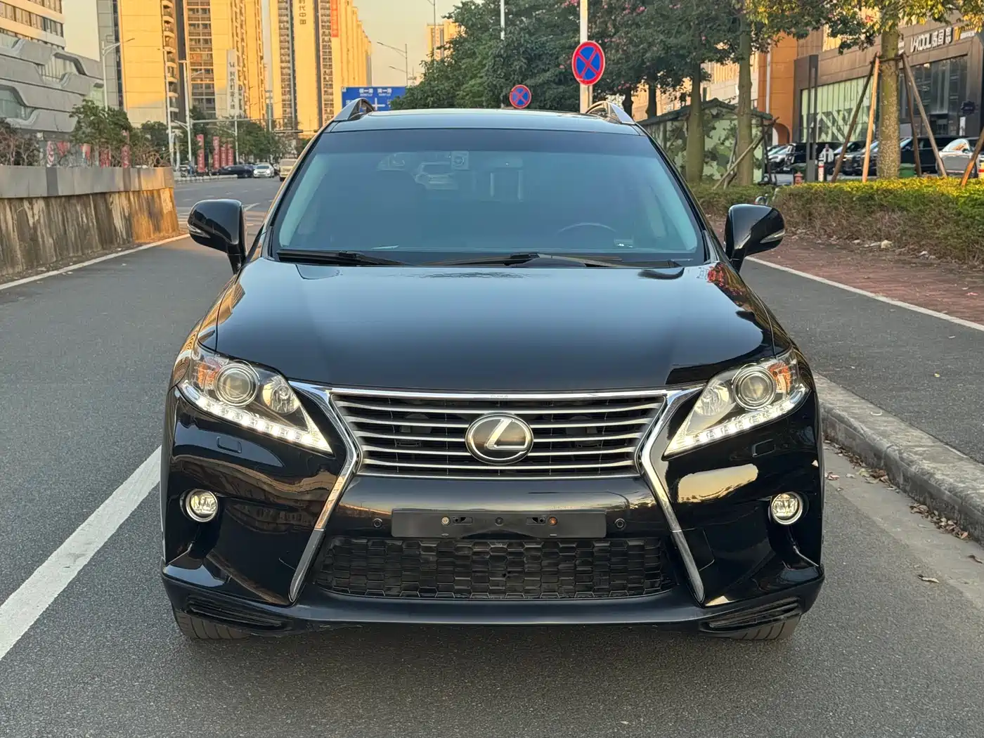 Lexus RX Classic 2013 270 Elite фото 2