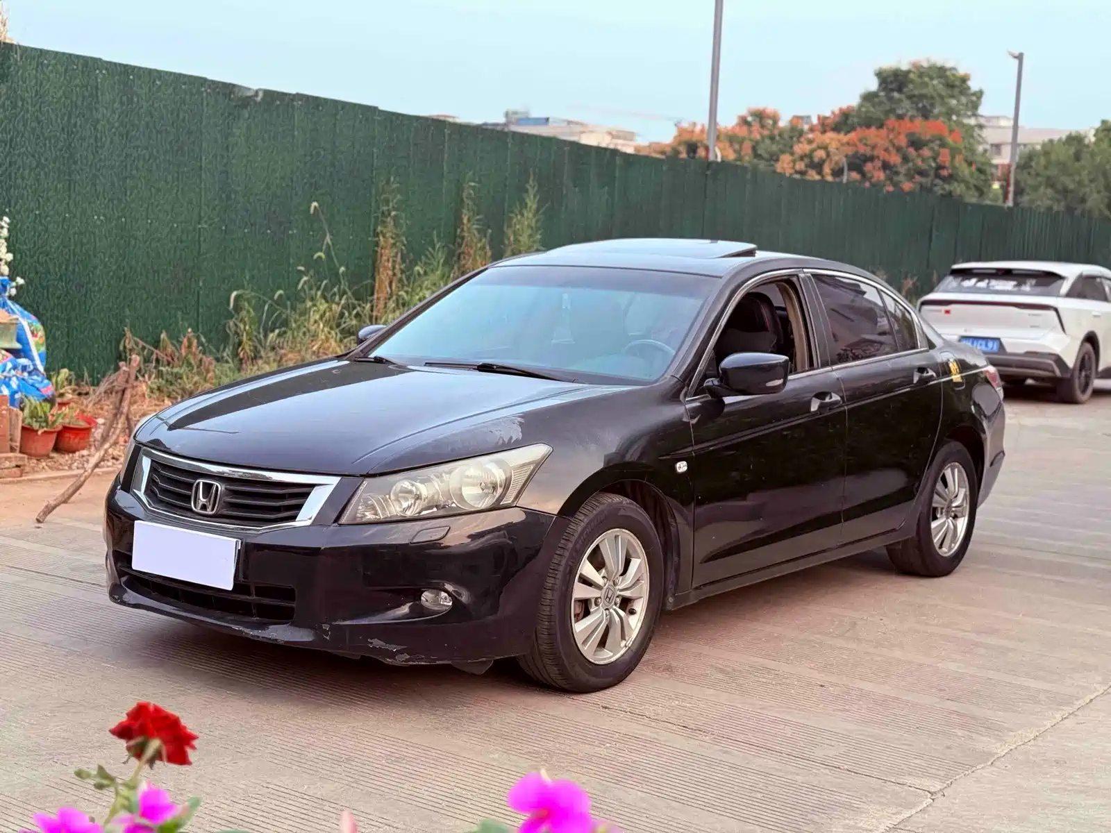 صورة 1 - Honda Accord