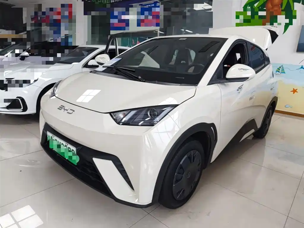 BYD Seagull 2024 Glory Edition 305km Vitality Edition