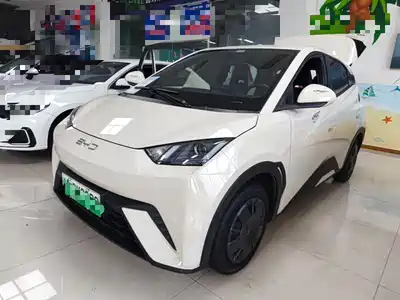 BYD Seagull