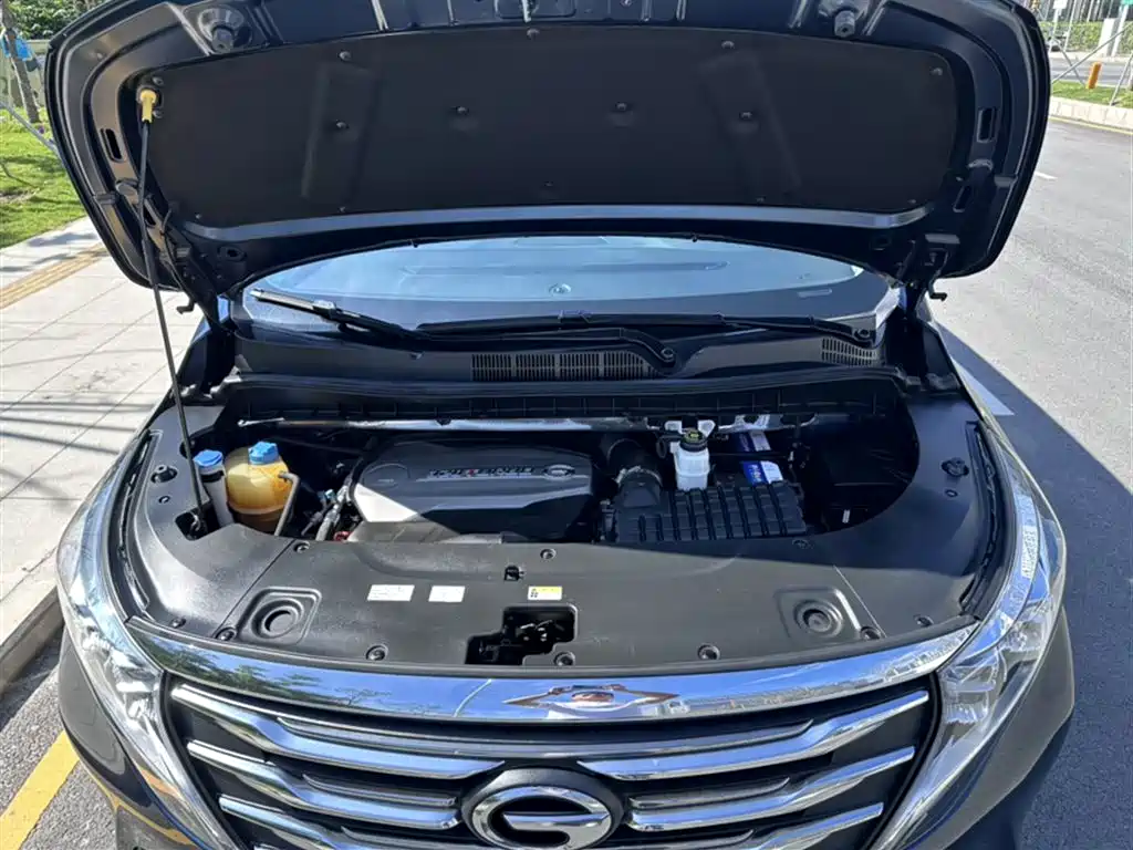 GAC Trumpchi Trumpchi M8 2019 320T Ultimate Edition фото 11