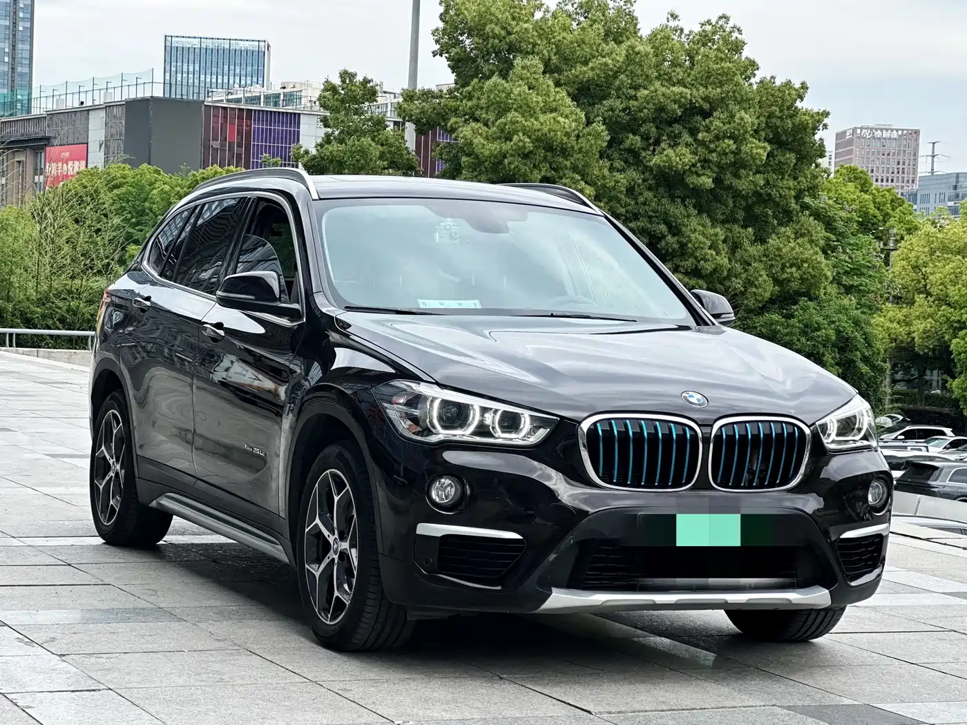 BMW X1 New Energy 2018 xDrive25Le Luxury Model фото 3