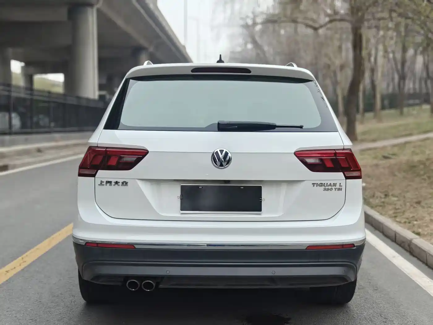 Volkswagen Tiguan L 2020 330TSI Auto 2WD Smart Luxury China VI фото 5