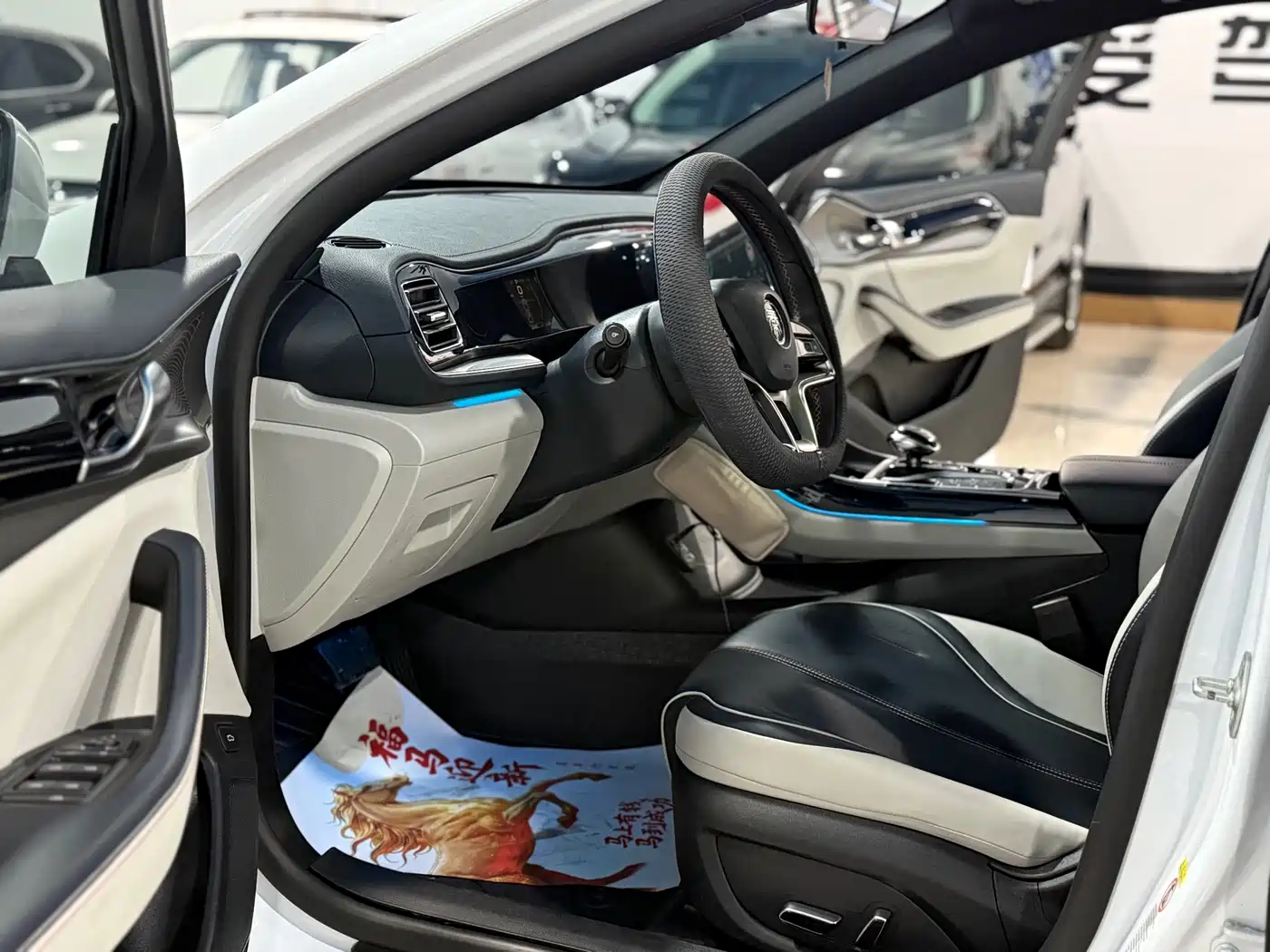 BYD Qin PLUS 2021 EV 500KM Premium Model фото 7