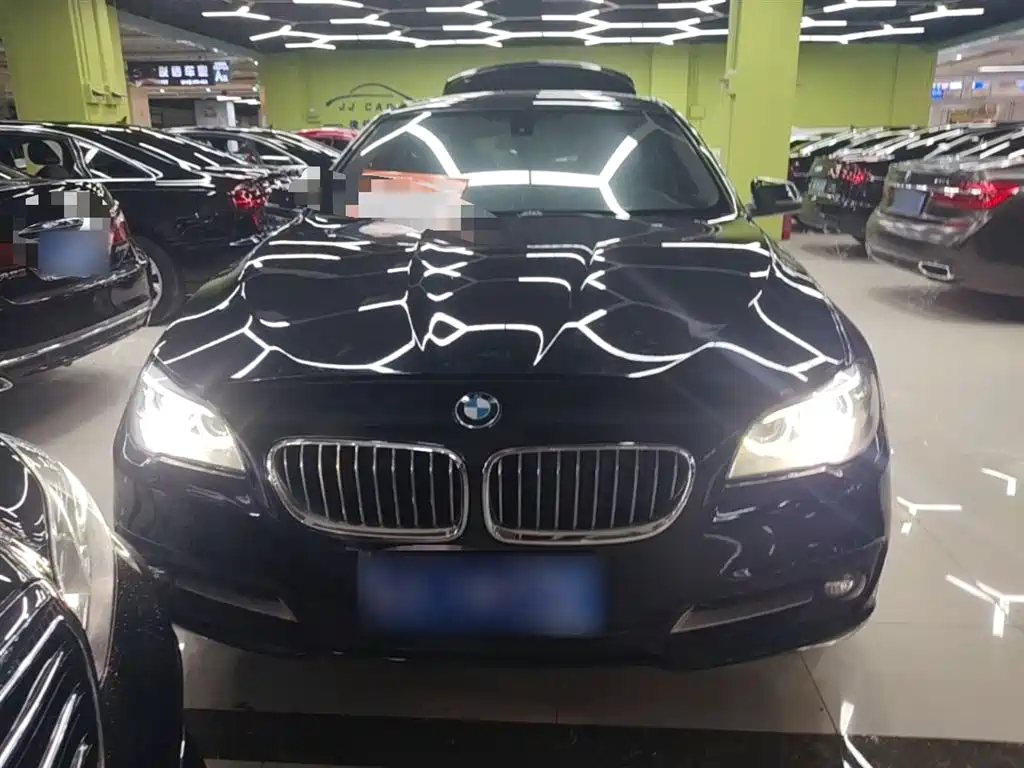 BMW 5 Series (Import) 2015 520i Elegance фото 3