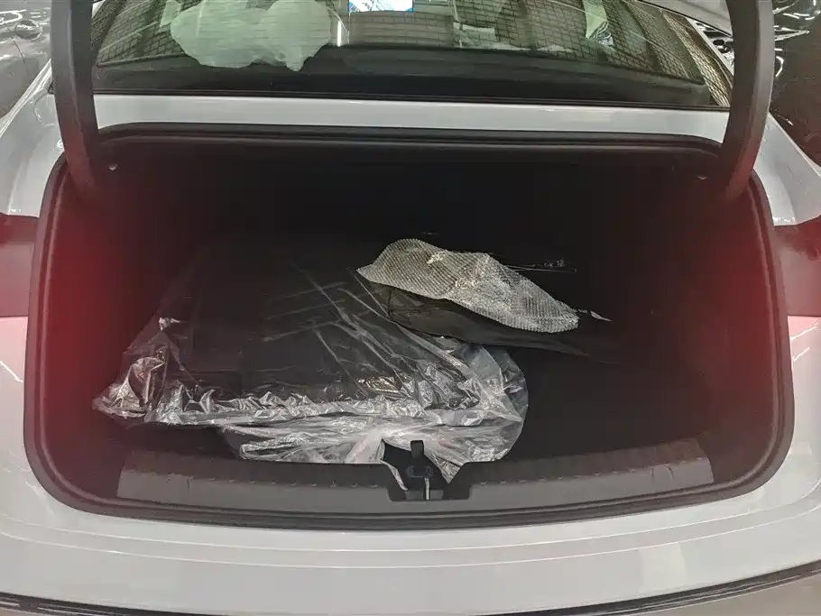 Geely Galaxy Galaxy Xingyao 8 2025 60km EM-i Luxury Edition фото 4