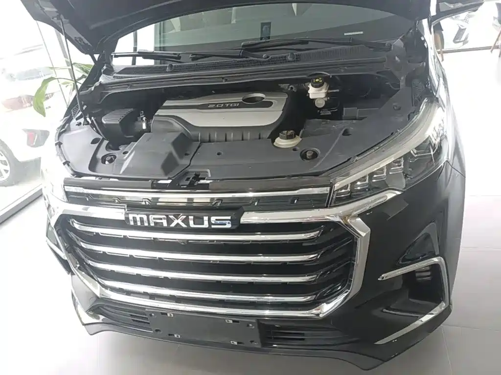 SAIC Maxus Maxus G20 2020 2.0T Gasoline Automatic Luxury Executive фото 11