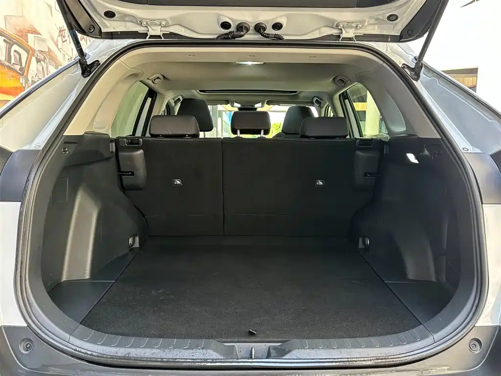 Toyota RAV4 Rongfang 2020 2.0L CVT AWD Trend Edition фото 8