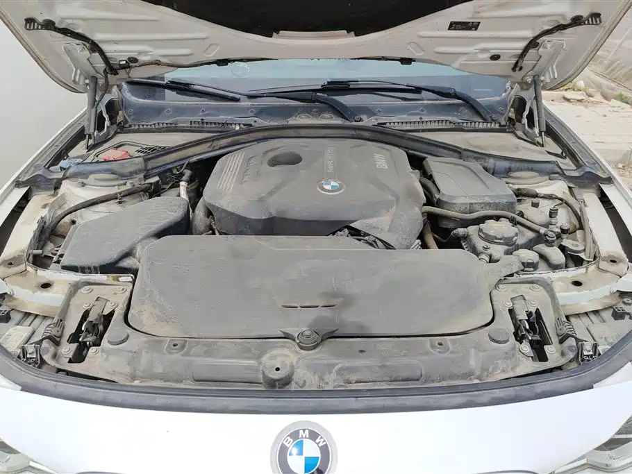 BMW 3 Series 2018 320Li Fashion Style фото 10