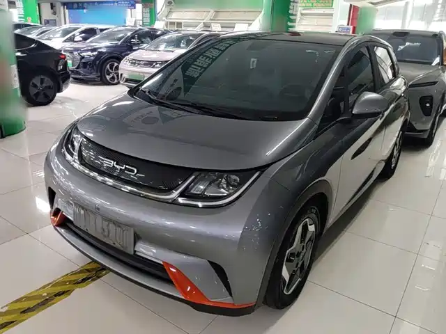 BYD Dolphin 405km, Стиль