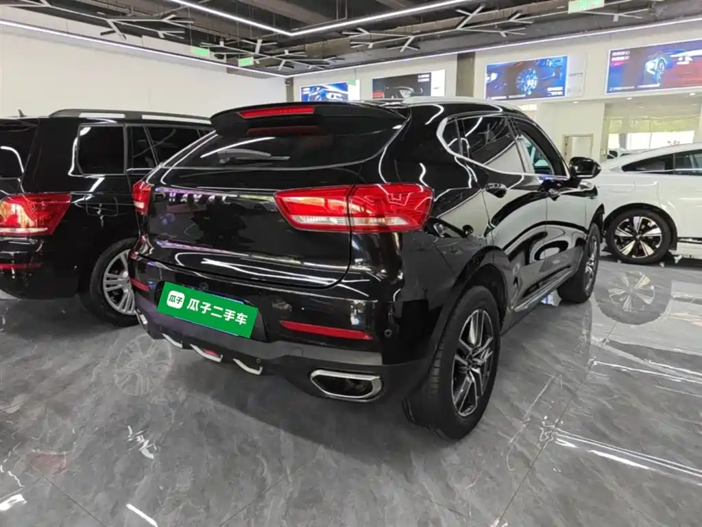 Haval F5 2019 National Trend Edition 1.5T iStyle China VI фото 7