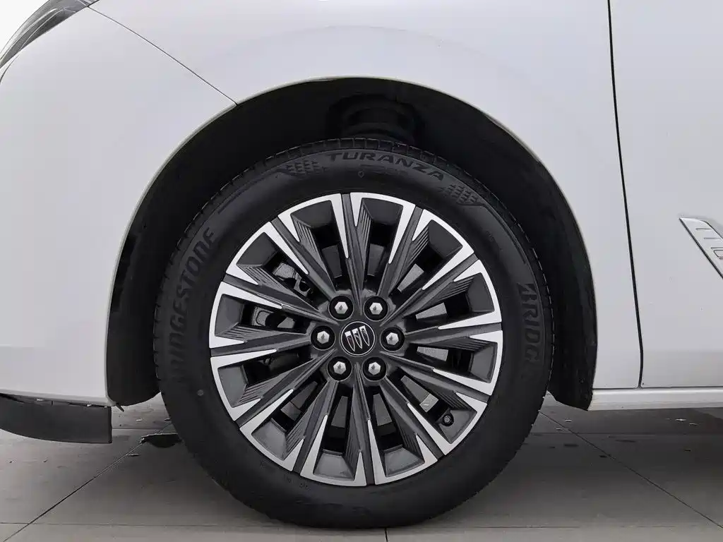 Buick GL8 2025 2025 Land Honor Premium Edition