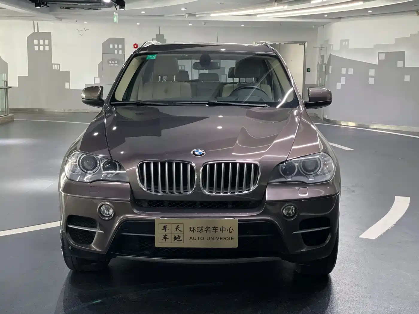 BMW X5 (Import) 2013 xDrive35i Luxury фото 2