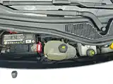 Фото 20 - smart forfour