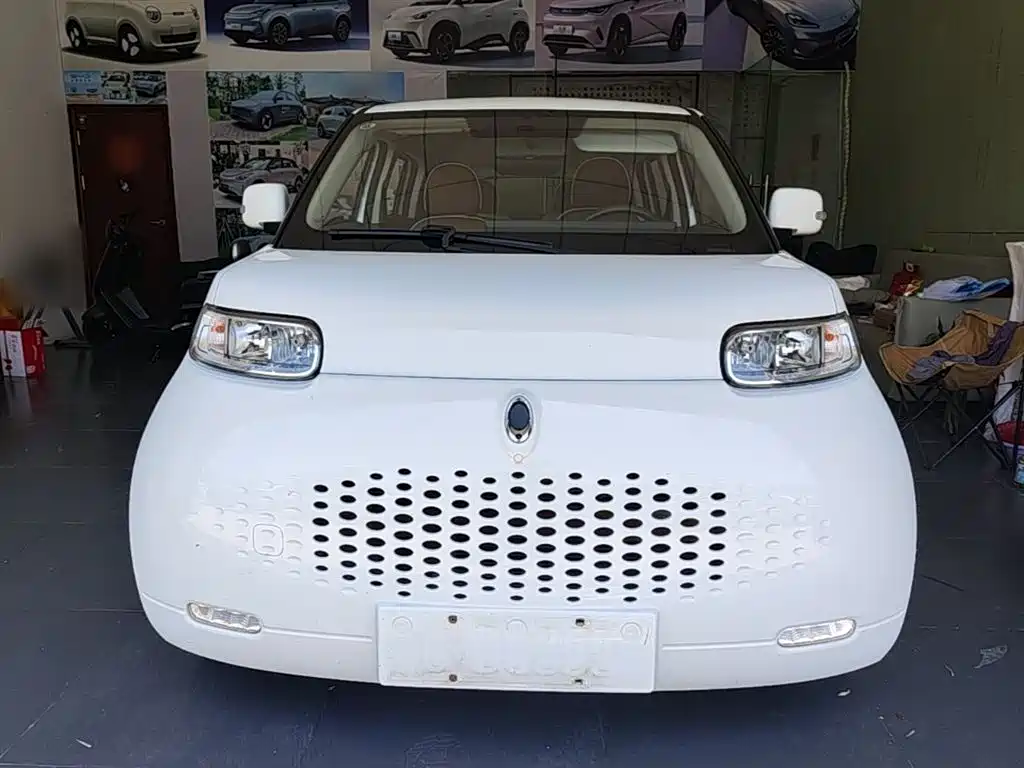 Ora White Cat 2021 2020 305km Luxury