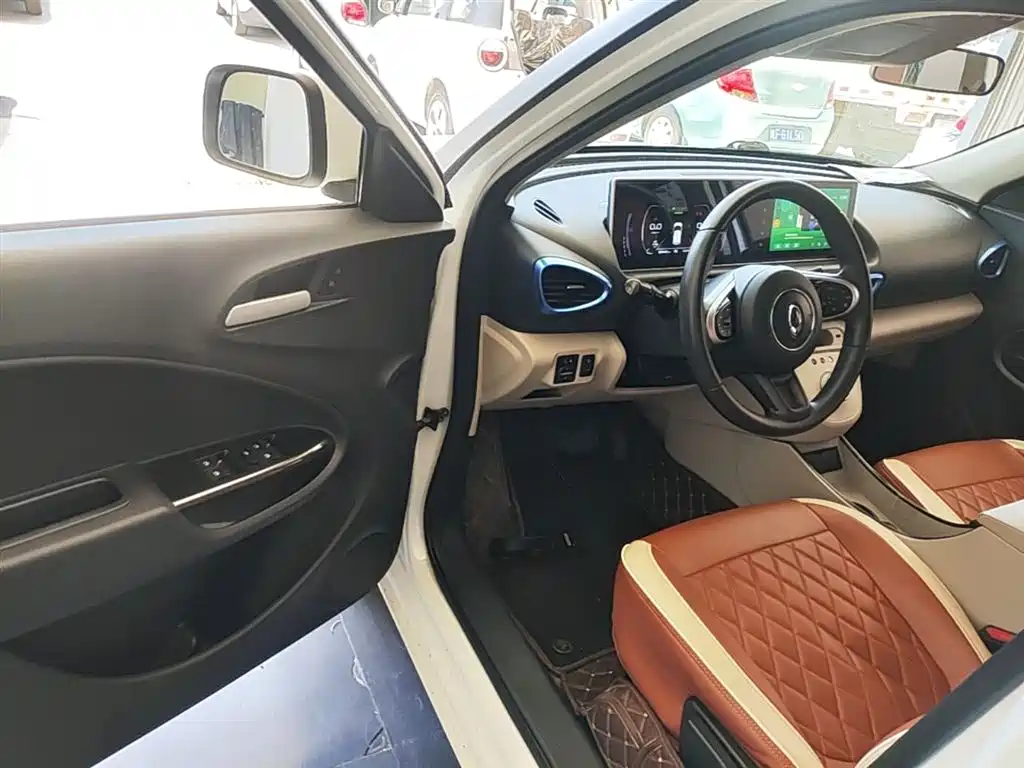 Ora White Cat 2021 2020 305km Luxury