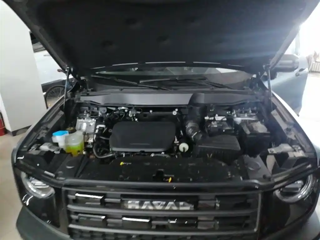 Haval Big Dog 2026 Model 1.5T High Configuration фото 20