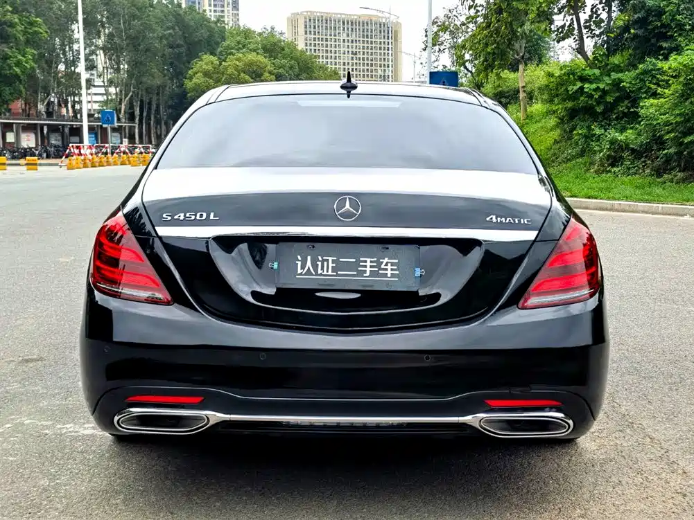 Mercedes-Benz S-Class 2020 S 350 L Business Edition Collector's Version фото 6