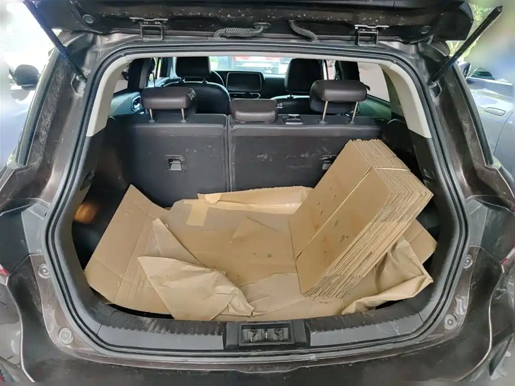 GAC Trumpchi Trumpchi GS4 2019 270T Automatic 2WD Luxury Smart Connect Edition фото 10