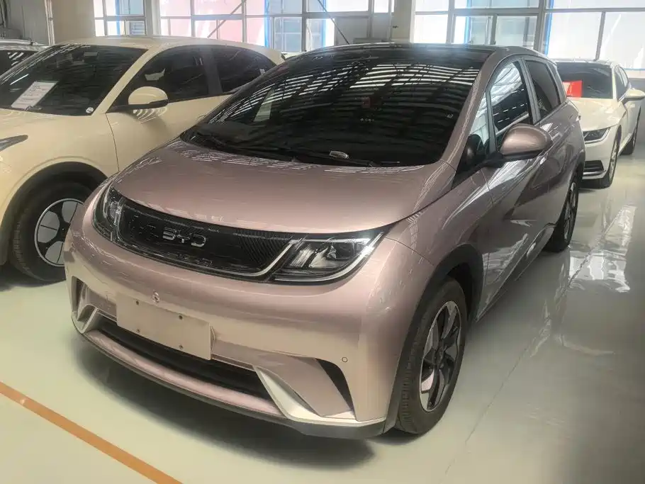 BYD Dolphin 2024 Glory Edition 420km Fashion Edition