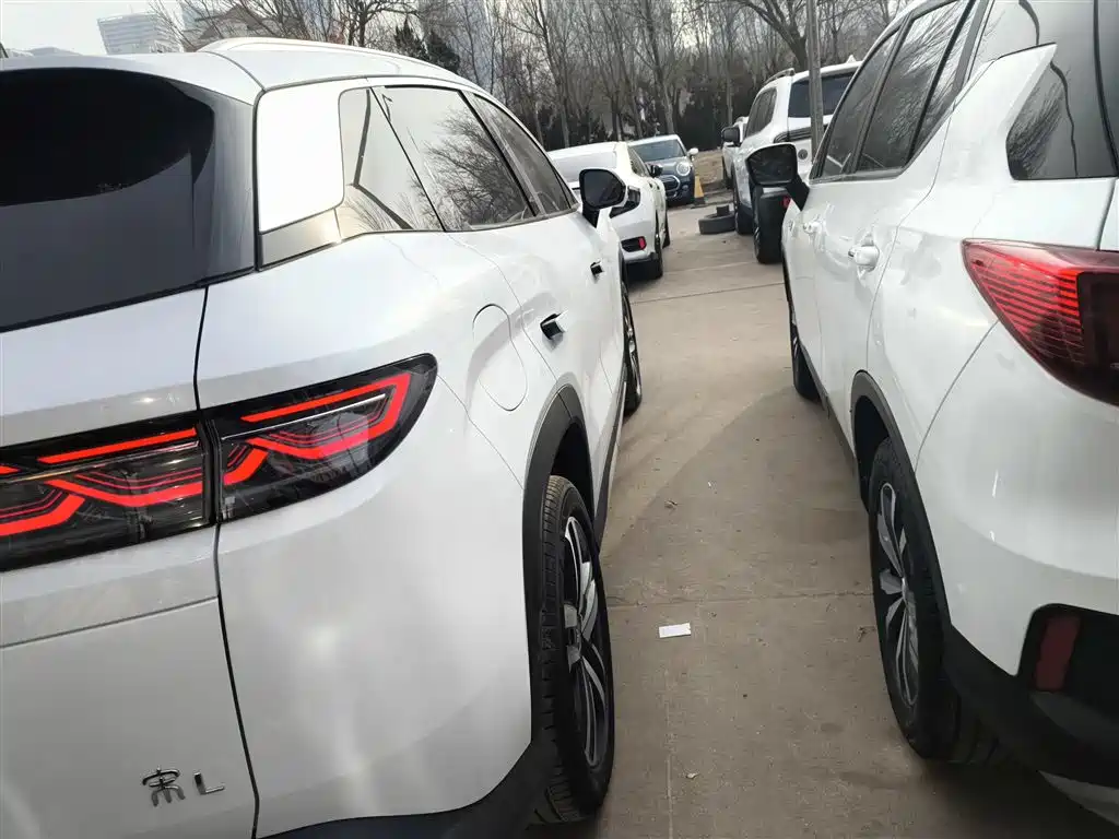 BYD Song L DM-i 2024 112km Leading Edition фото 8