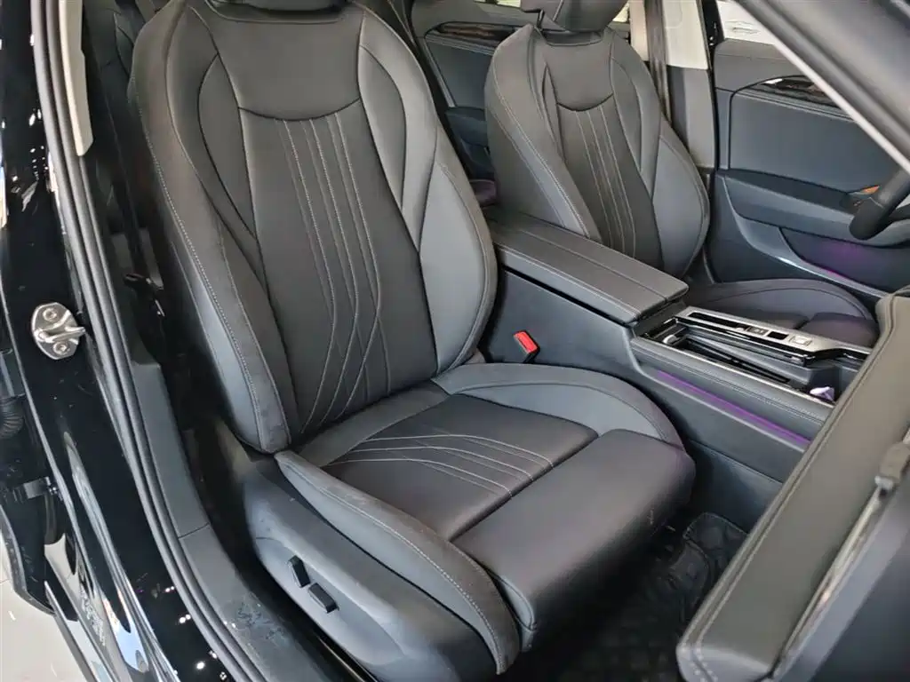 Volkswagen Magotan 2024 300TSI DSG Premium Edition (Eye-catching Package) фото 25