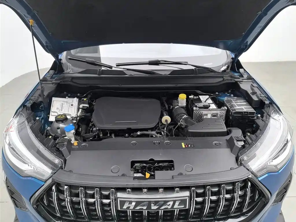 Haval Chitu 2021 Turbo Edition 1.5T Golden Rabbit фото 6