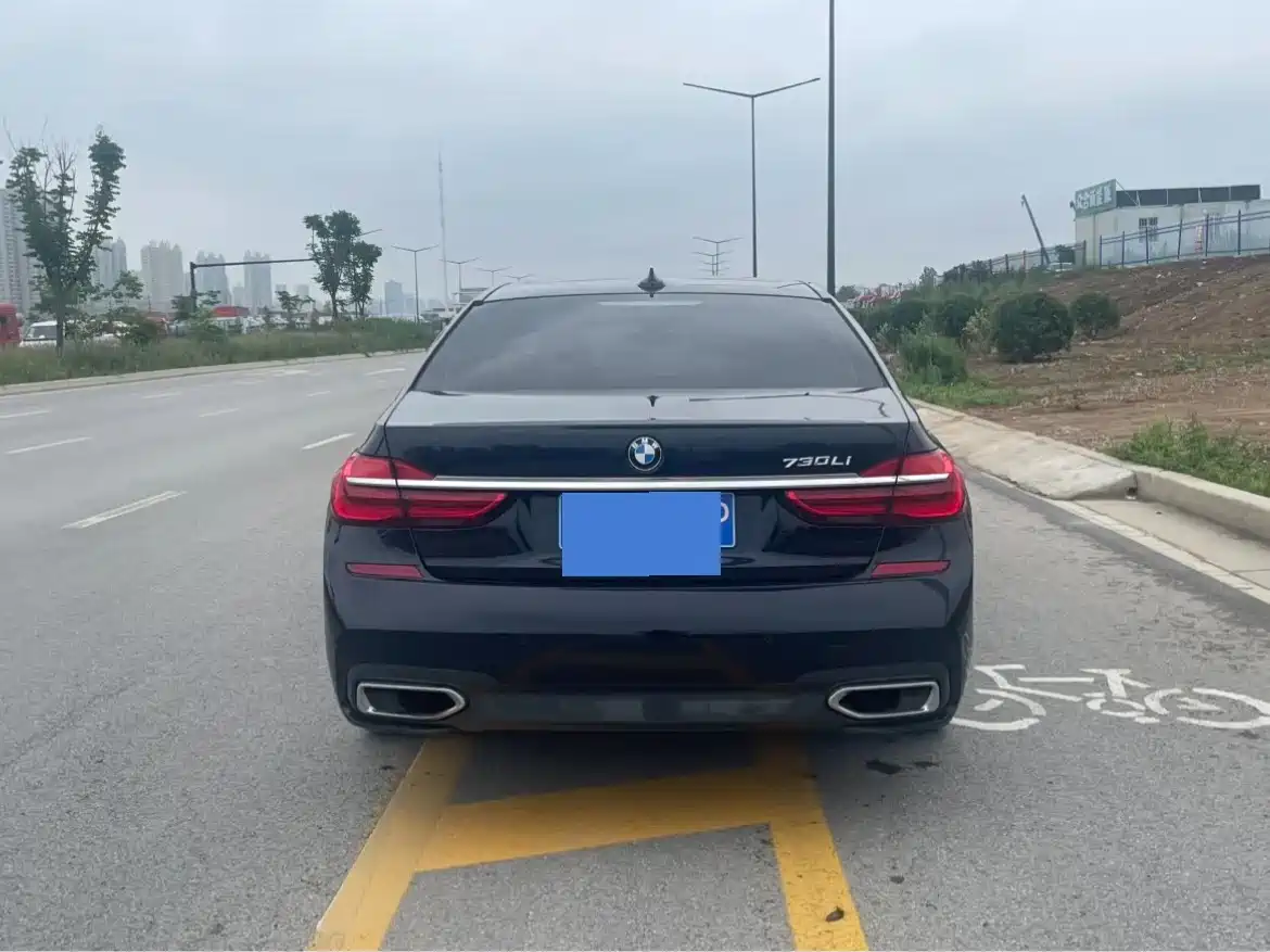 BMW 7 Series 2017 730Li Leading Edition фото 8
