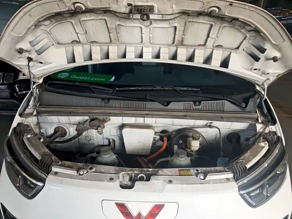 Wuling Motors Wuling Yangguang 2024 2024 300km Comfort Enclosed Van 60kW