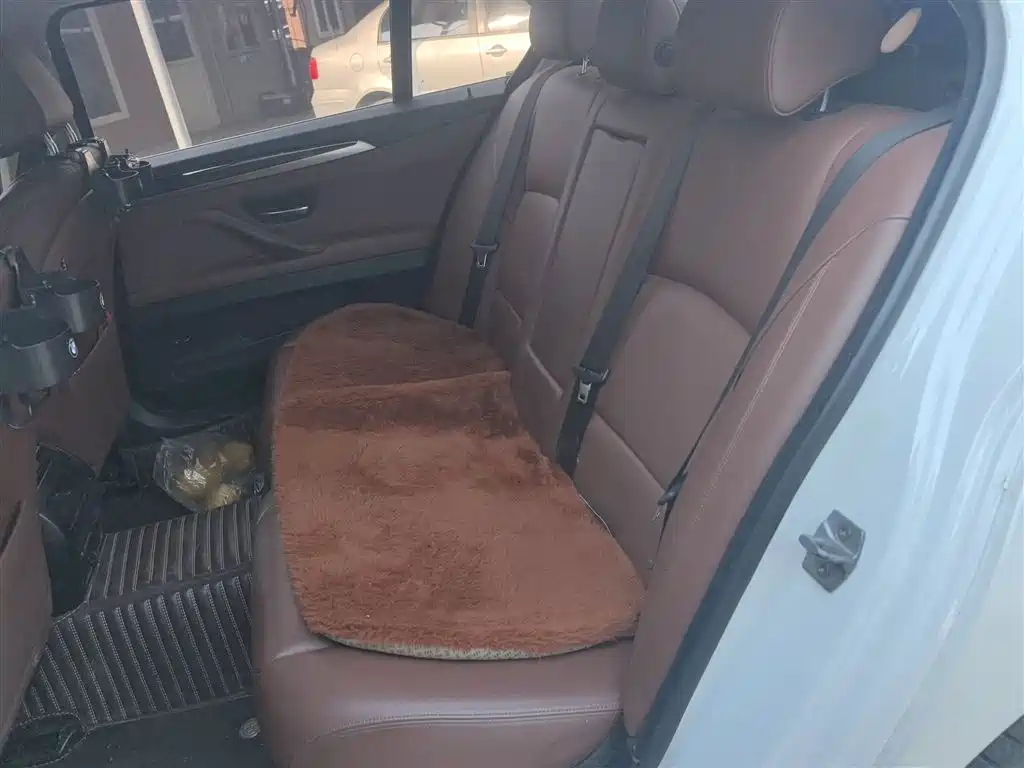 BMW 5 Series 2017 525Li Leading Edition фото 14