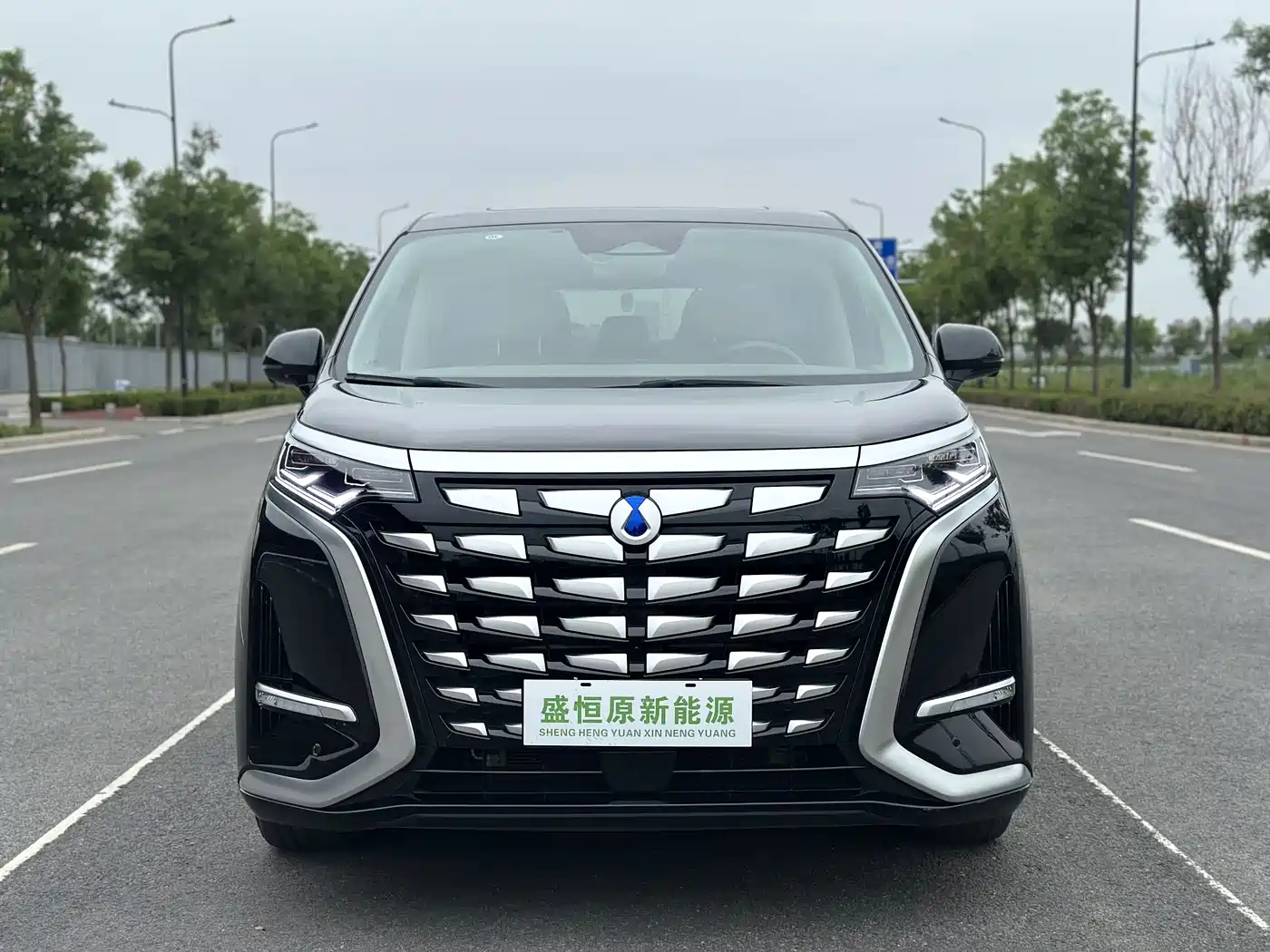 Denza D9 2022 DM-i 970 All-Wheel Drive Honor Edition фото 2