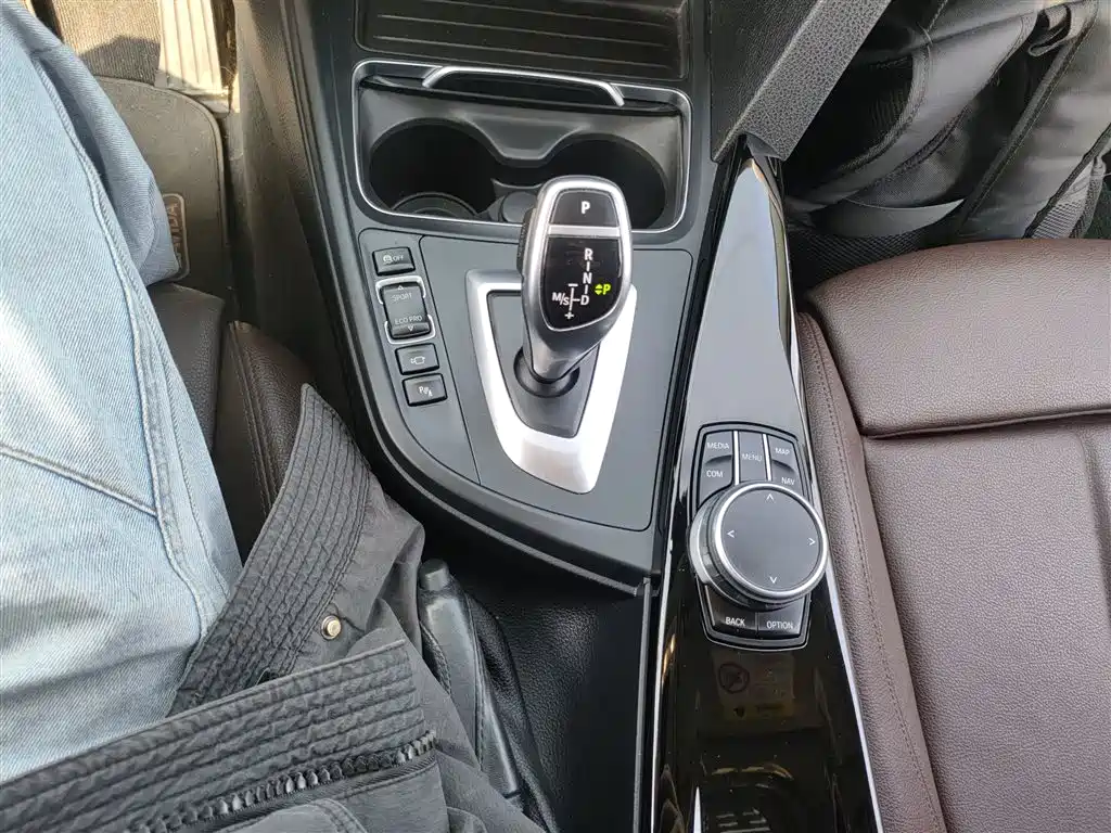 BMW 3 Series 2019 320Li M Sport Package фото 10