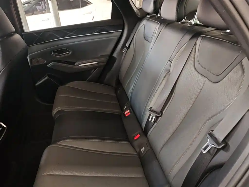 BYD Qin L 2024 DM-i 80KM Superior фото 17