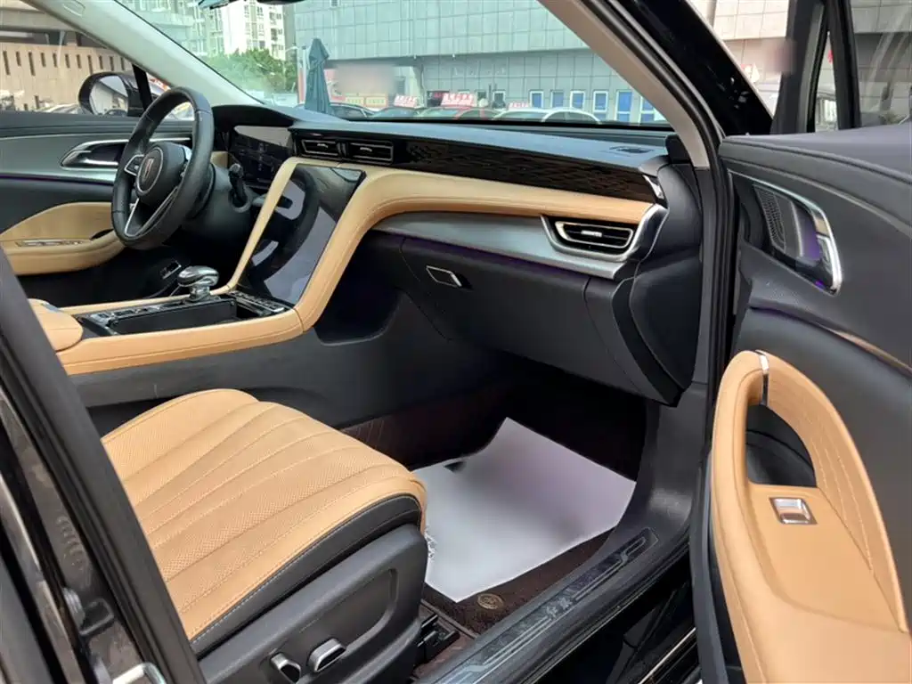 Hongqi H5 2023 2.0T Auto Smart Connect Flag Comfort фото 10