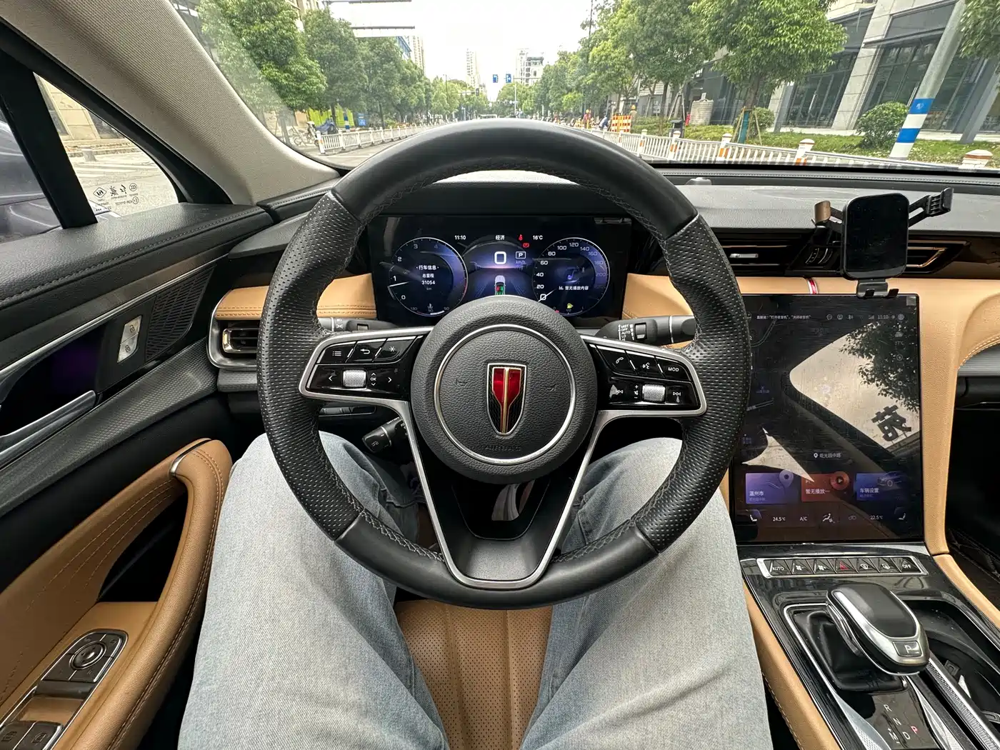 Hongqi H5 2023 2.0T Auto Smart Connect Flag Comfort фото 10