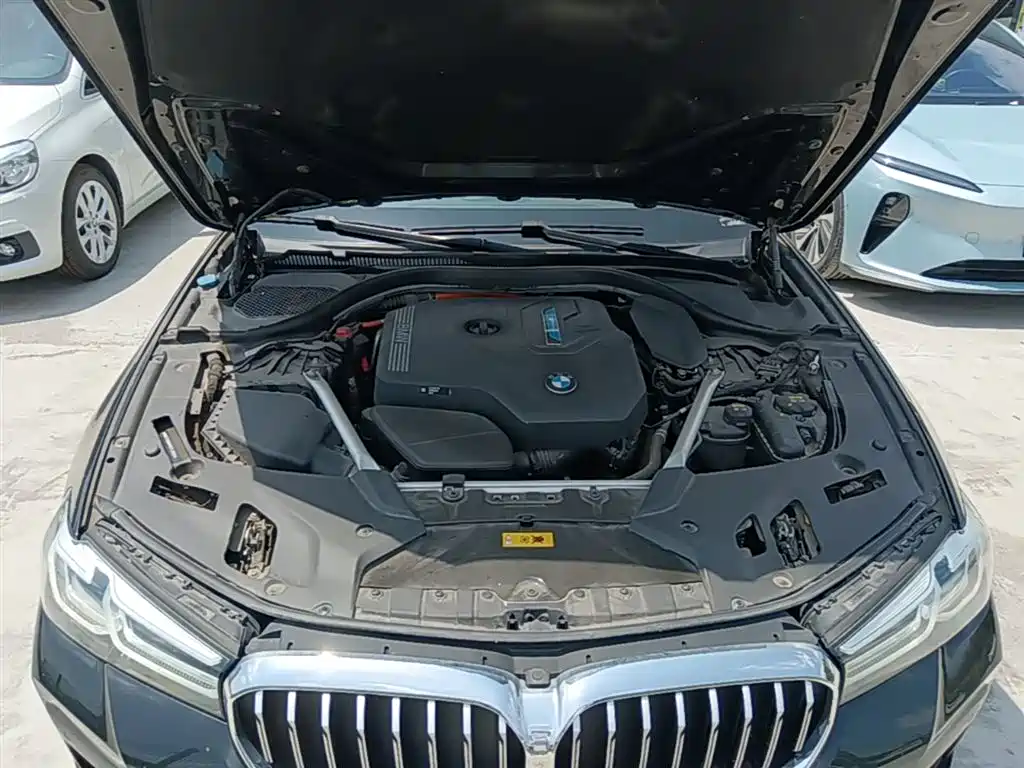 BMW 5 Series New Energy 2021 535Le M Sport Package фото 20