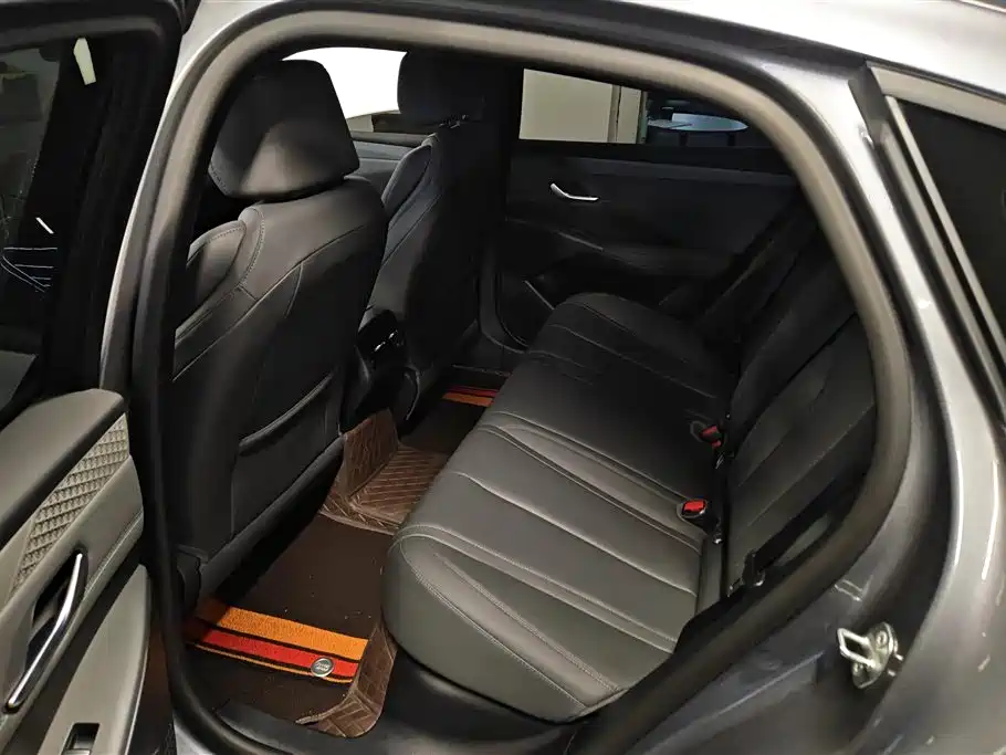 BYD Qin PLUS 2025 DM-i Smart Drive 55KM Leader фото 11