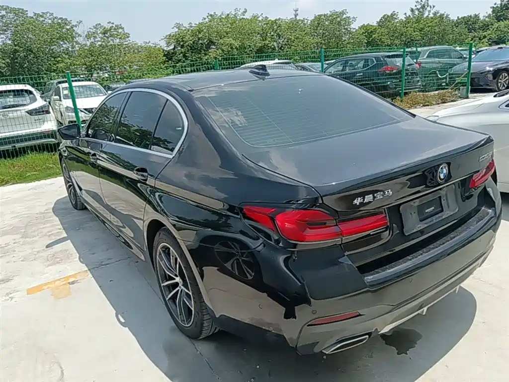 BMW 5 Series New Energy 2021 535Le M Sport Package фото 5