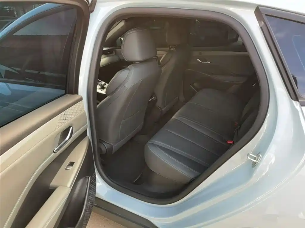 BYD Qin PLUS 2025 DM-i Smart Drive 55KM Leader фото 17